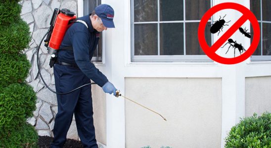 Görele Böcek İlaçlama böcek ilaçlama ve haşere kontrolü — ilaclama-tr.com